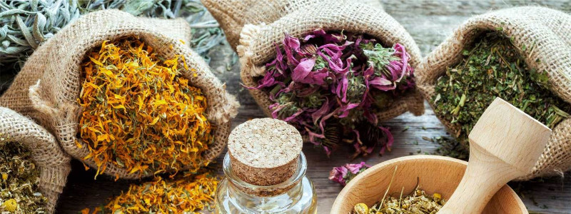 herbs_and_spices1_1400x herbs_and_spices1_1400x