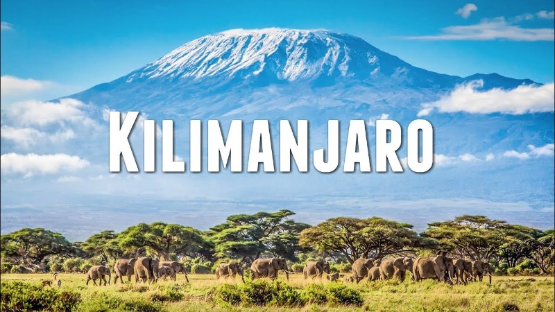 Kili-1 Kili-1
