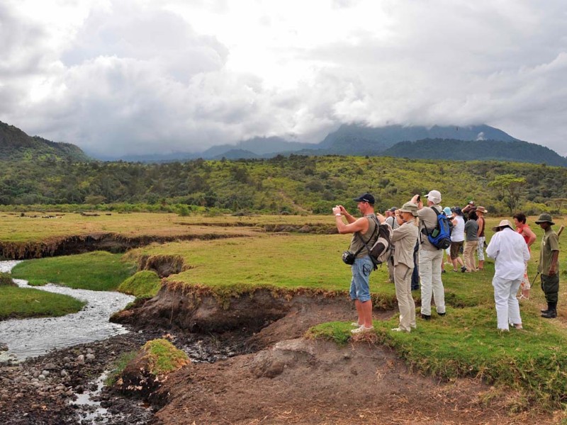 Walking-Safari-in-Arusha-National-Parks Walking-Safari-in-Arusha-National-Parks