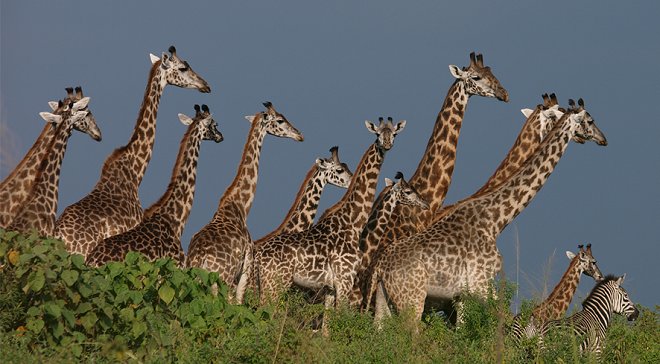 arusha-national-park-wide arusha-national-park-wide